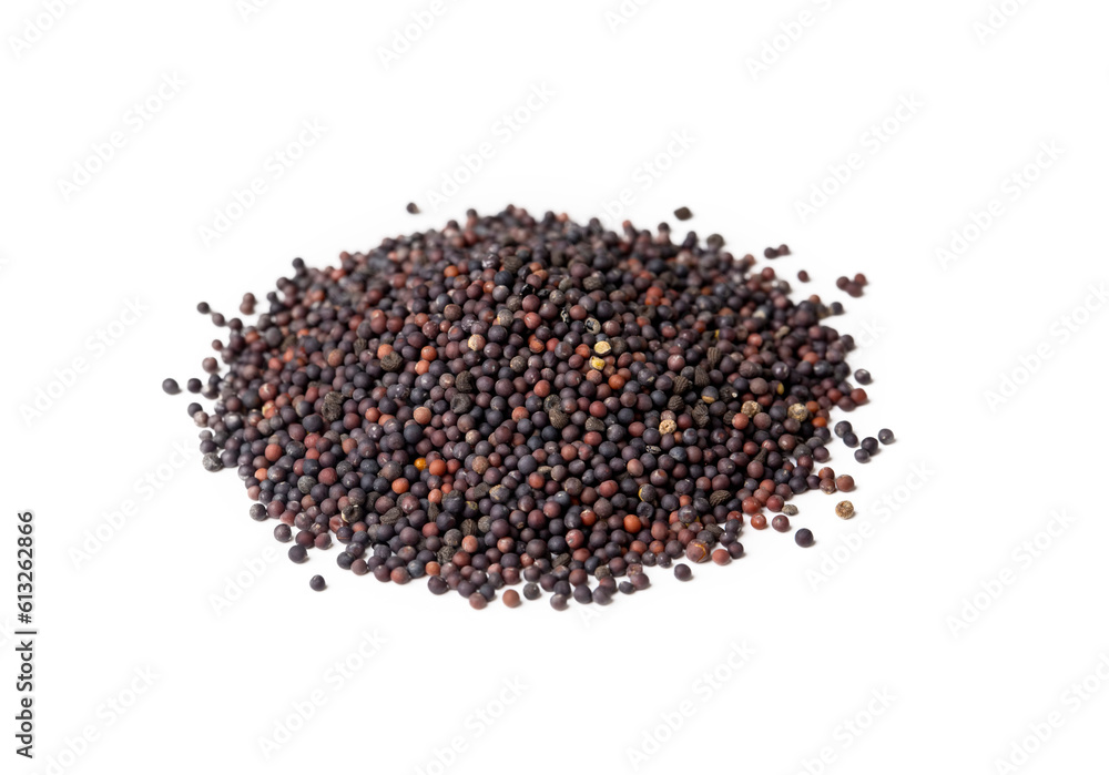 Macro close-up of Organic Black mustard seed (Brassica nigra) on white background. Pile of Indian Aromatic Spice. Top view Macro close-up of Organic Black mustard seed (Brassica nigra) on white background. Pile of Indian Aromatic Spice. Top view