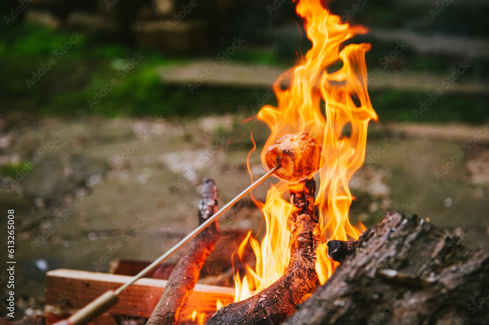 © Andrew Kornylak - A marshmallow on a stick surrounded by lively flames over a campfire