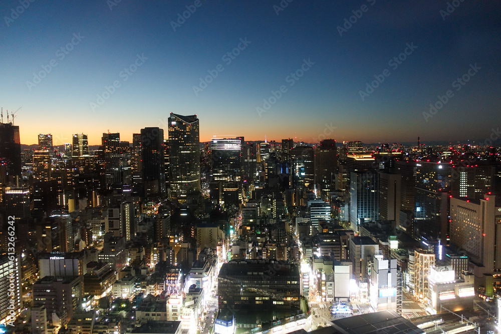 Obraz premium 東京の夜景／高層ビル群／新橋 City of Tokyo