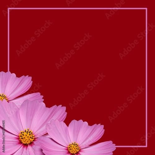 Floral template     Red background with frame and pink flowers