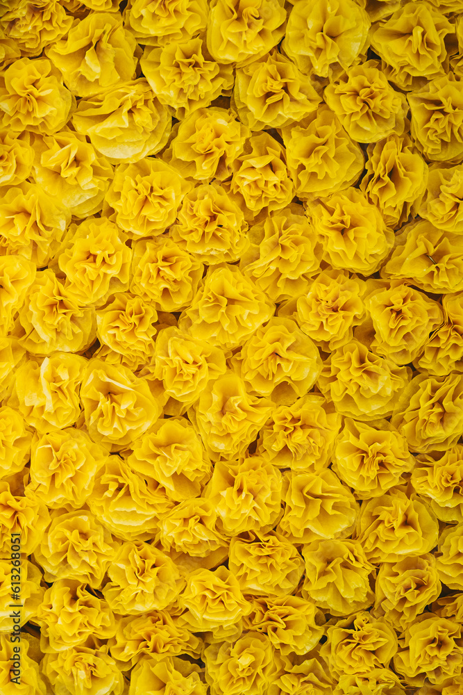 Fleurs en papier crépon jaune fait main pour décorer un char dans une fête - Arrière plan coloré Fleurs en papier crépon jaune fait main pour décorer un char dans une fête - Arrière plan coloré