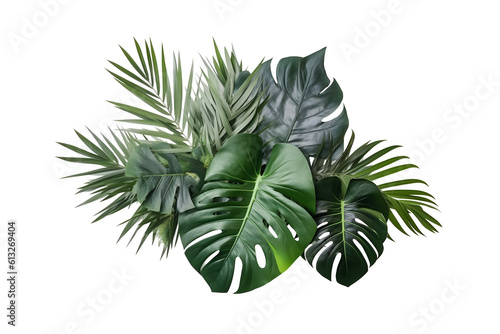 Fotografie, Obraz tropical plants , green leaves isolated on transparent background