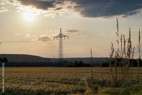Ein Strommast in einem Getreidefeld im Vordergrund lange Grashalme