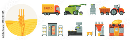 Stages of Production of Bread from Harvest to Baking Vector Set