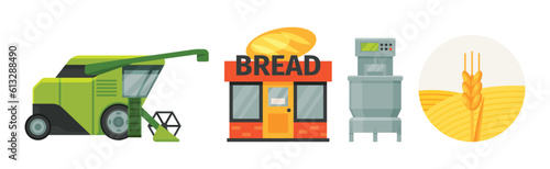 Stages of Production of Bread from Harvest to Baking Vector Set