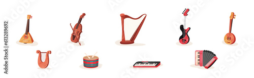 Musical Instrument for Orchestra and Acoustic Concert Vector Set