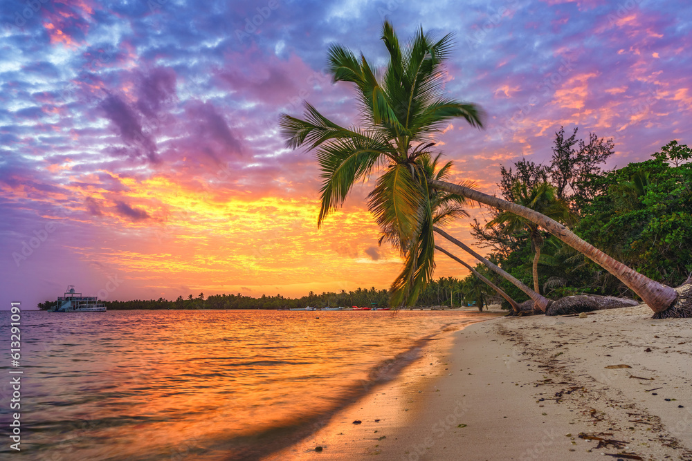 Beautiful sunrise over tropical beach and palm trees in Dominican republic - obrazy, fototapety, plakaty 
