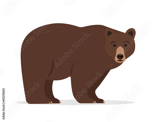 Wild brown Bear animal icon isolated on white background. Grizzly bear standing or walking. Vector illustration.