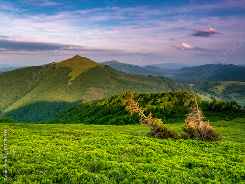 Fototapeta Naklejka Na Ścianę i Meble -  Bieszczady, widok na Połoninę Caryńska i Tarnicę z Połon…