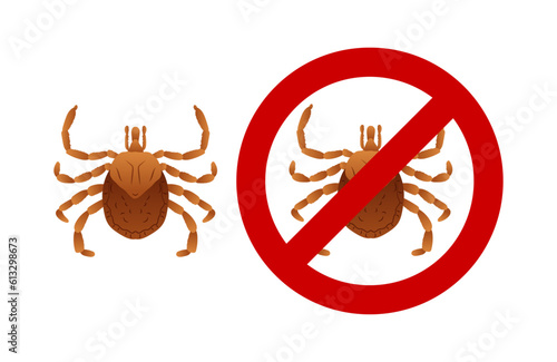 Tick, parasite that transmits Rocky Mountain spotted fever