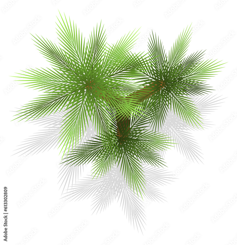 Obraz premium Green plant top view. Landscape plan design