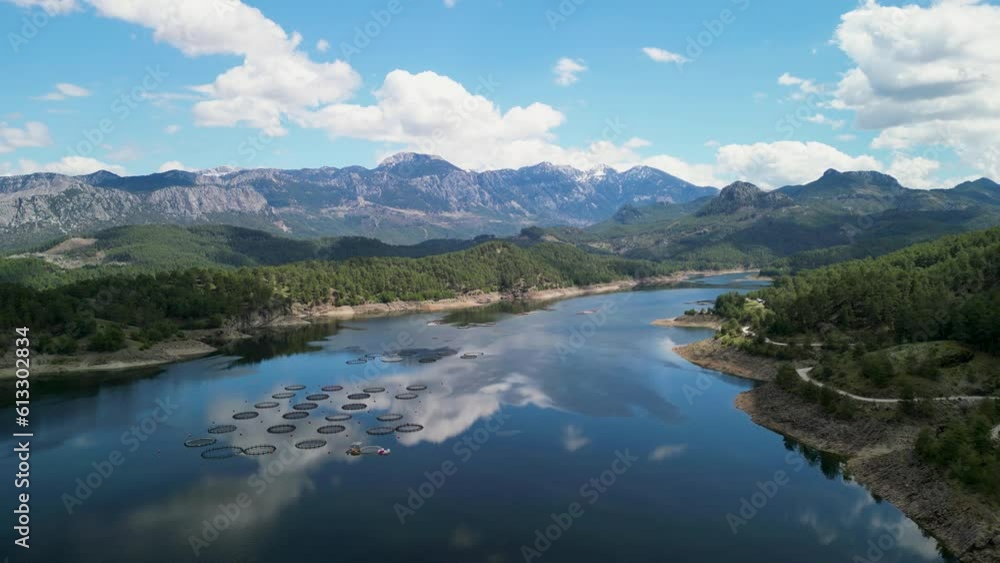 Golden Hour Serenity 4K Sunset Over a Calm Reflection Lake with Verdant Flora and Towering Trees Golden Hour Serenity 4K Sunset Over a Calm Reflection Lake with Verdant Flora and Towering Trees