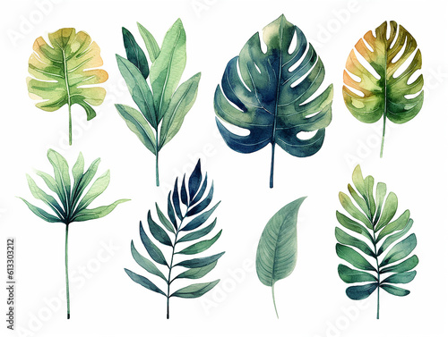 illustrazione in stile acquerello di set di  foglie tipiche della vegetazione equatoriale,  tema giungla, banano,  eucalipto, acanto, monsteria, su sfondo bianco scontornabile, creata con ai  photo