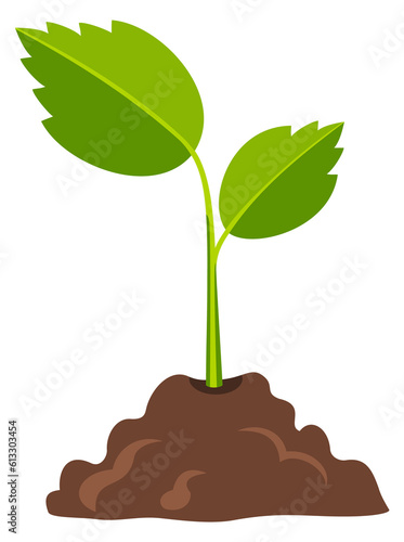 Growing plant icon. Cartoon nature seedling in soil