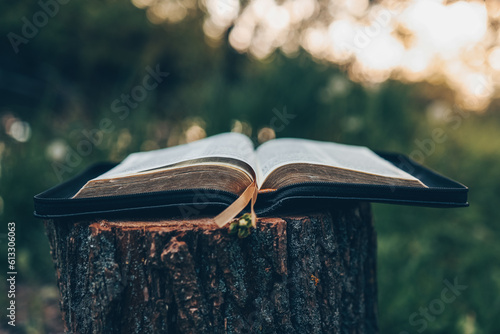 Fotografía Open bible at sunset in nature, christian concept