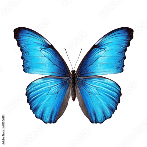 Blue butterfly isolated. Illustration AI Generative.
