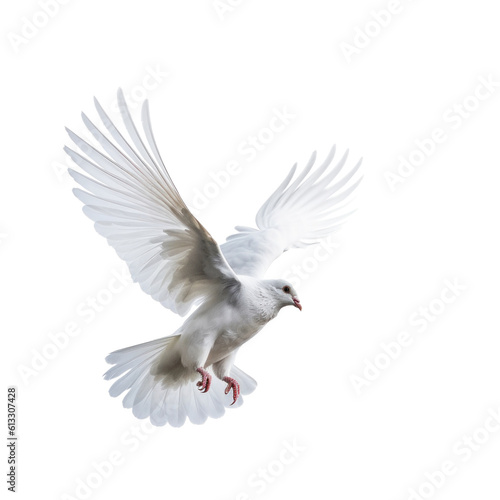 White pigeon flying isolated. Illustration AI Generative. © ArtCookStudio