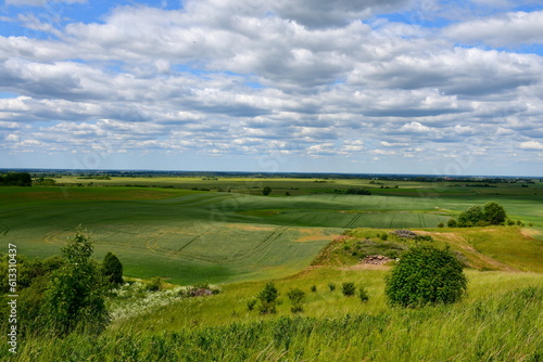 A view from the top of a tall hill covered with grass  herbs  and other flora showing some vast fields  meadows  pasturelands  forest moors  and a tall hill with some flags on top of it seen in summer
