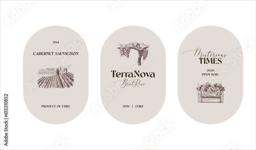 three vintage wine labels design template