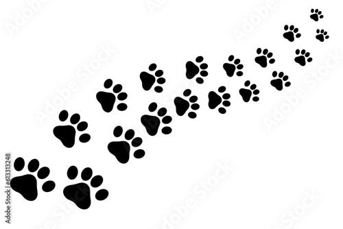 Path of cute paw prints on white background