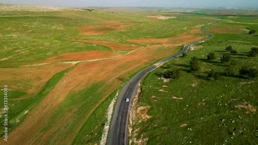 Tranquil Rural Landscape with Green Fields and Forest. A serene rural landscape with green fields, forests, and tranquil roads. Tranquil Rural Landscape with Green Fields and Forest. A serene rural landscape with green fields, forests, and tranquil roads.