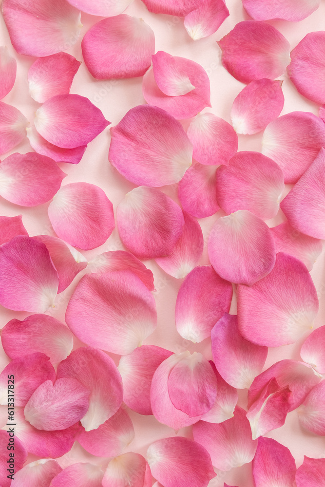 Pink petals on pastel background. Vertical floral banner. Soft selective focus