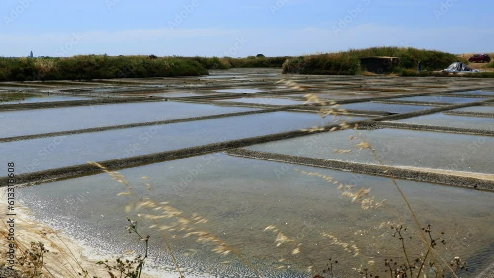 Salt marshes of Guérande, in the region of Brittany, France Salt marshes of Guérande, in the region of Brittany, France