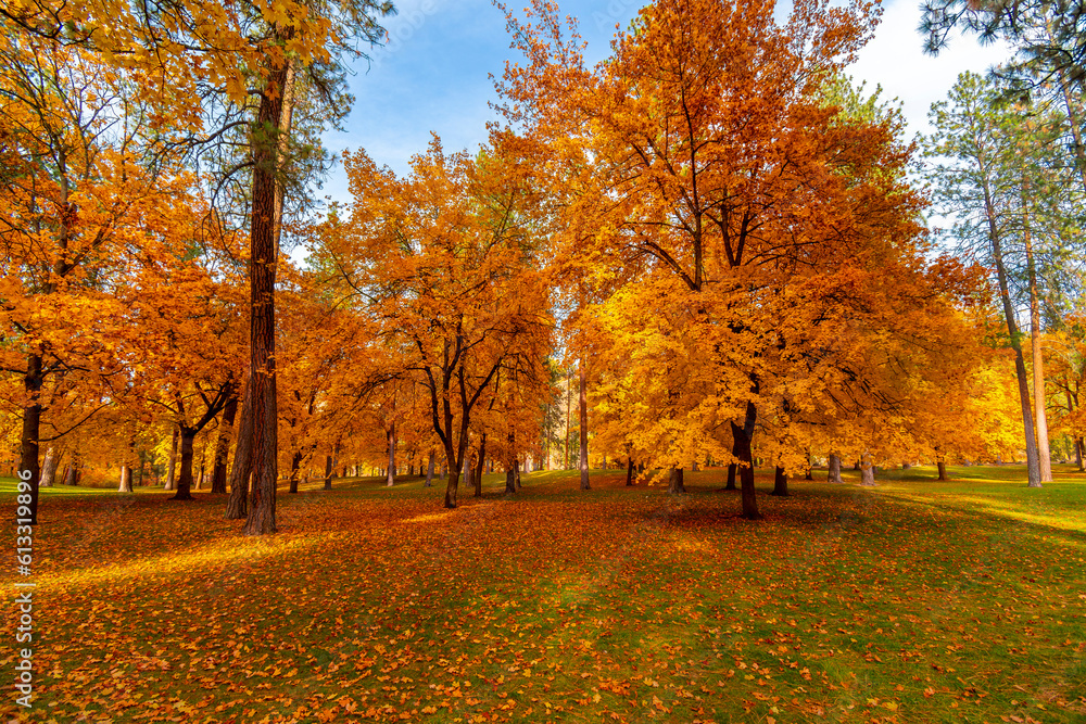 Falls colors on the trees during autumn at High Bridge Park in Spokane, Washington, USA.	