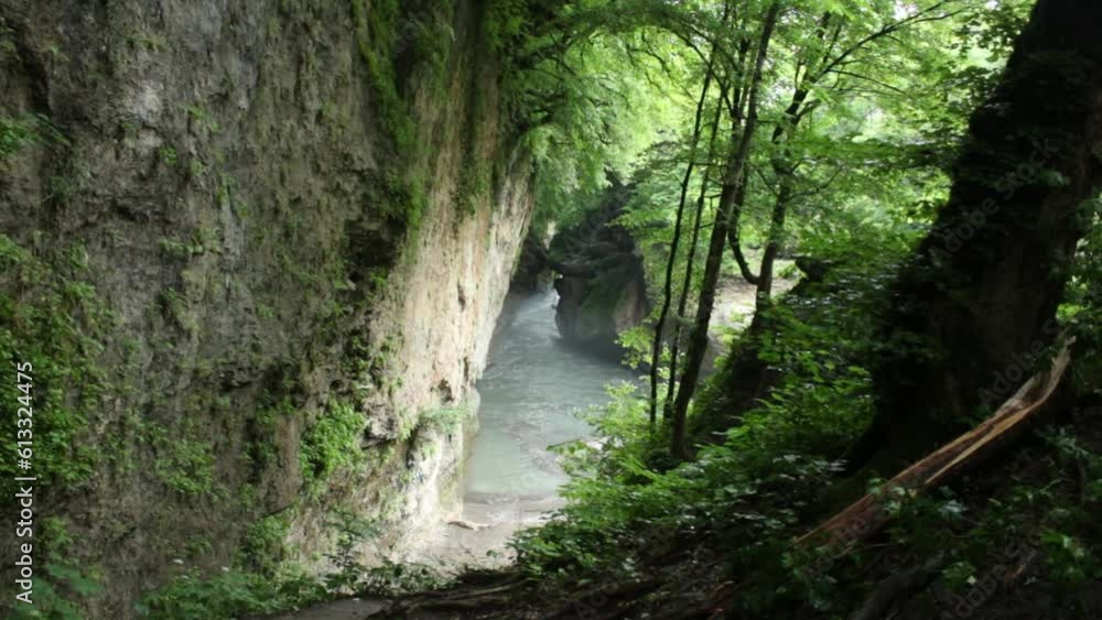 Mountain river flowing in a canyon in springtime Mountain river flowing in a canyon in springtime