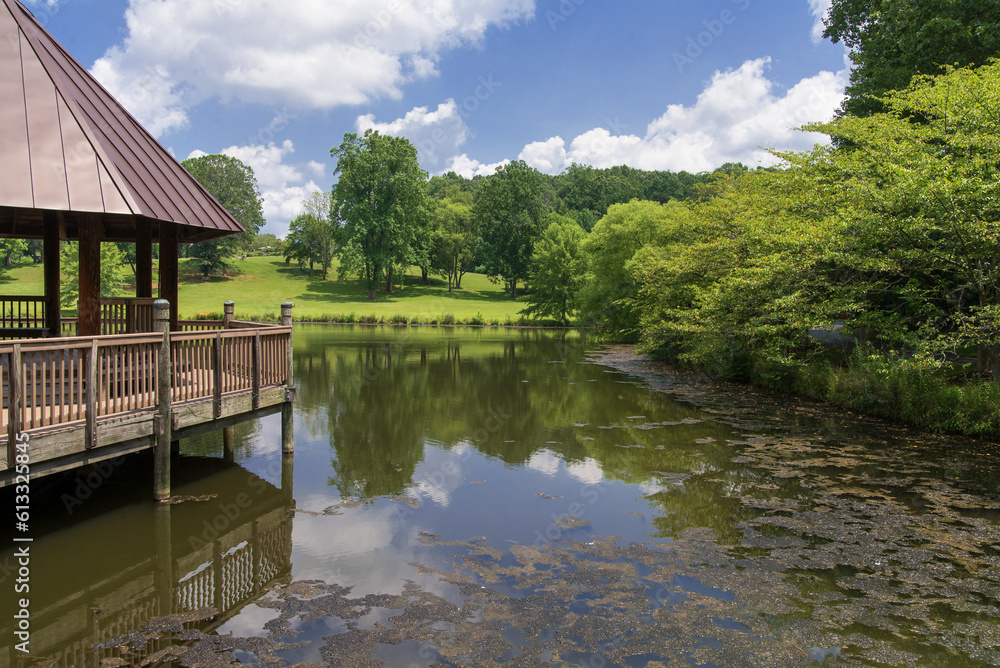 Fototapeta premium Wooden gazebo on the pond in the city Park in sunny day summer