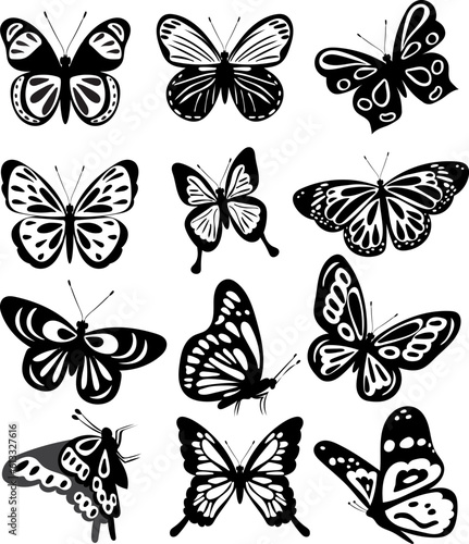 butterfly silhouette, group of butterflies, wildlife, black and white © Alexandru