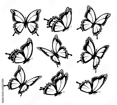 butterfly silhouette, group of butterflies, black and white, wildlife