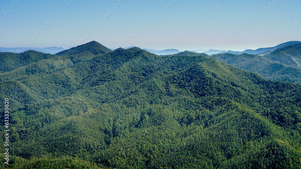 Background consisting of Atlantic Forest in Serra da Mantiqueira's mountain range, on the way to Marins Peak. Piquete, Sao Paulo, Brazil