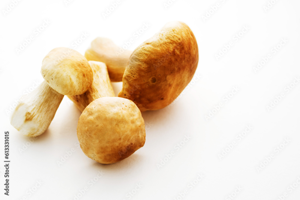 Bunch of fresh forest porcini mushrooms on a white surface close up, soft focus, copy space Bunch of fresh forest porcini mushrooms on a white surface close up, soft focus, copy space