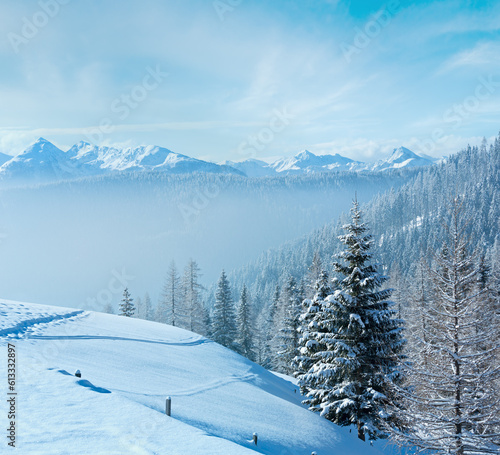 Morning winter misty mountain landscape with fir forest on slope.