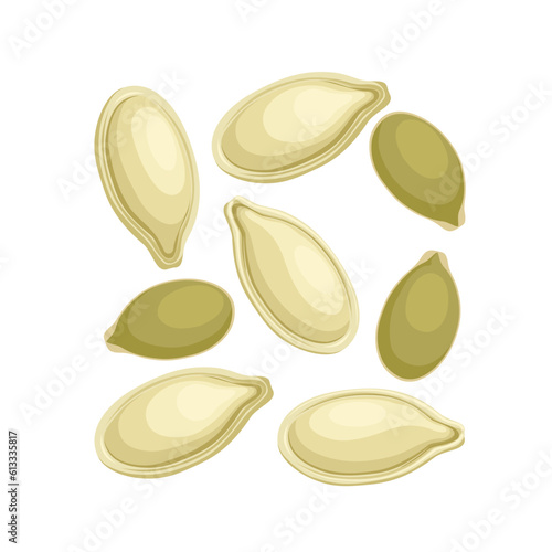 Vector illustration, pumpkin seeds, isolated on white background.