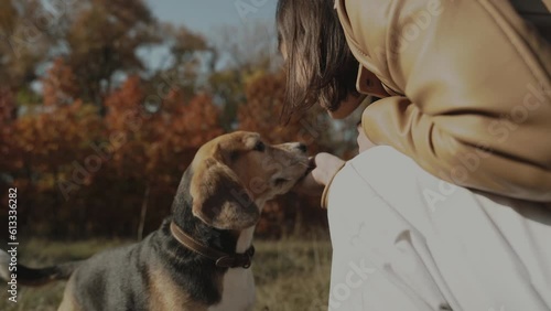 A beautiful girl trains her dog beagle. Dog is man's best friend 