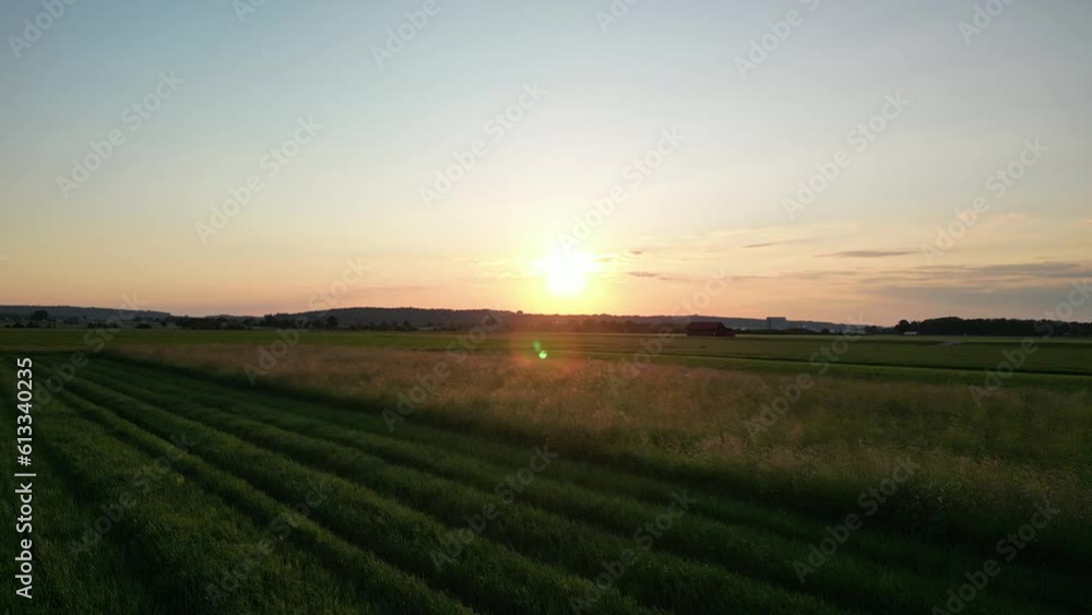 Germany, Bavaria, Allgaeu, drone flight over the meadow in the sunset Germany, Bavaria, Allgaeu, drone flight over the meadow in the sunset