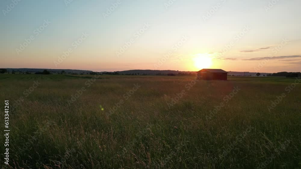 Germany, Bavaria, Allgaeu, drone flight over the meadow in the sunset