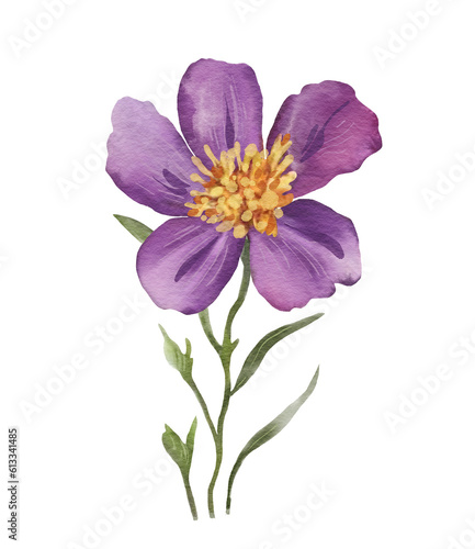 Isolated lilac flower, watercolor illustration for cards and design.