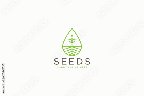 Seed Plant Greenery Nature Agriculture Botanic Business Environment Care Logo