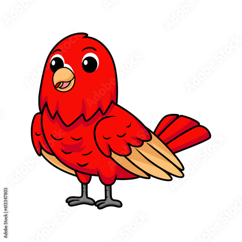 Cute red suffusion lovebird cartoon