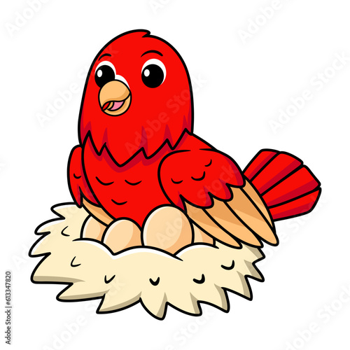 Cute red suffusion lovebird cartoon with eggs in the nest.