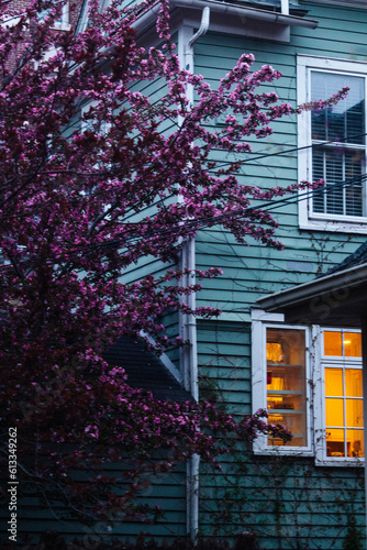 christmas tree in front of a house