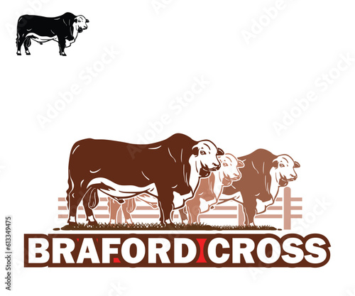 GREAT BRAFORD CATTLE LOGO, silhouette of big bull breeds standing vector illustrations