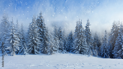 winter landscape with trees © Paridnat