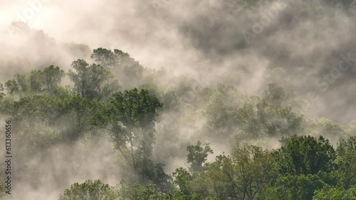 Mist and fog roll through lush green forest landscape in mountains of Tennessee in early morning sunlight at Norris Dam and Reservoir  photo