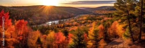 autumn forest sunset in the mountains