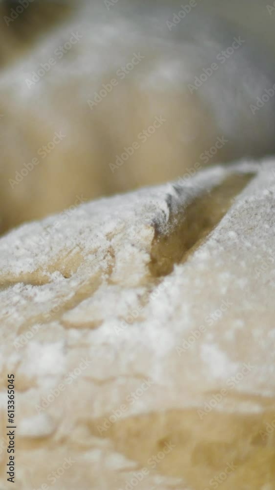 Vertical screen: Warm fresh bread in a bakery. Making bread and eco production. Dough Rises Fast. Cooking process in Time Lapse. Baking Italian bio bread in oven. High quality footage Vertical screen: Warm fresh bread in a bakery. Making bread and eco production. Dough Rises Fast. Cooking process in Time Lapse. Baking Italian bio bread in oven. High quality footage