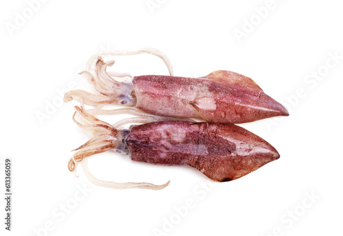 Two fresh raw octopus, seafood. From nature, top view. It is isolated on white background.